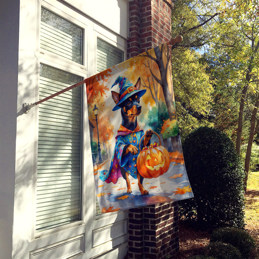 Miniature Pinscher Halloween Trick or Treat House Flag 28x40 Porch Sleeve Pole Decorative Outside Yard Banner Artwork Wall Hanging, Polyester