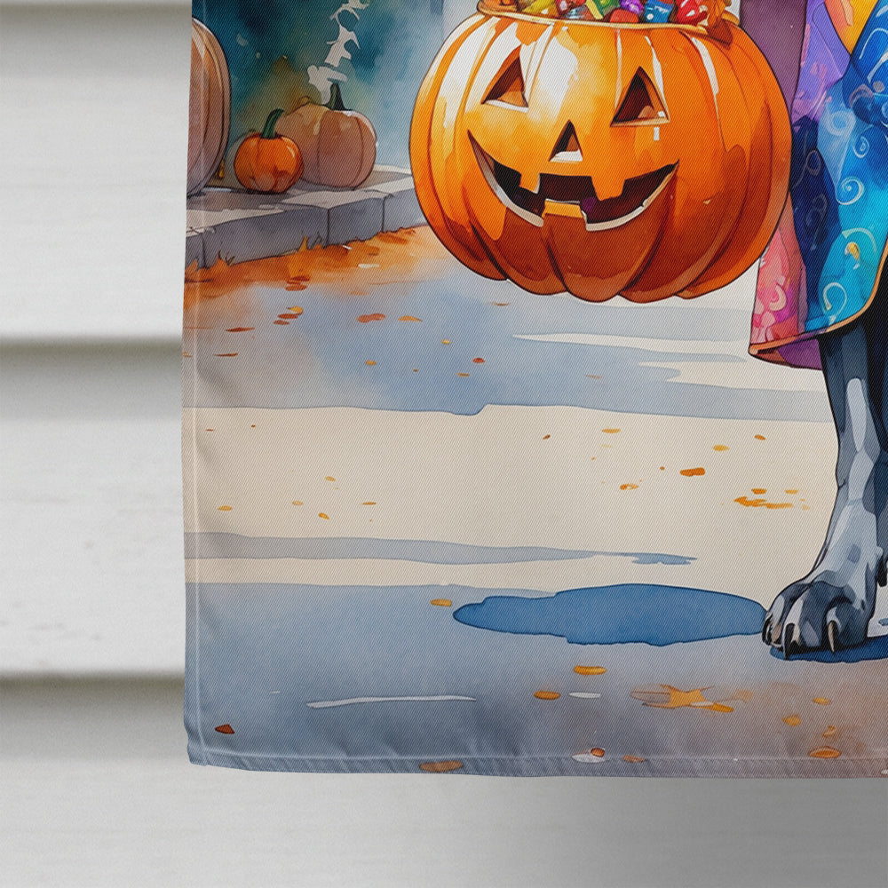 Weimaraner Halloween Trick or Treat House Flag 28x40 Porch Sleeve Pole Decorative Outside Yard Banner Artwork Wall Hanging, Polyester