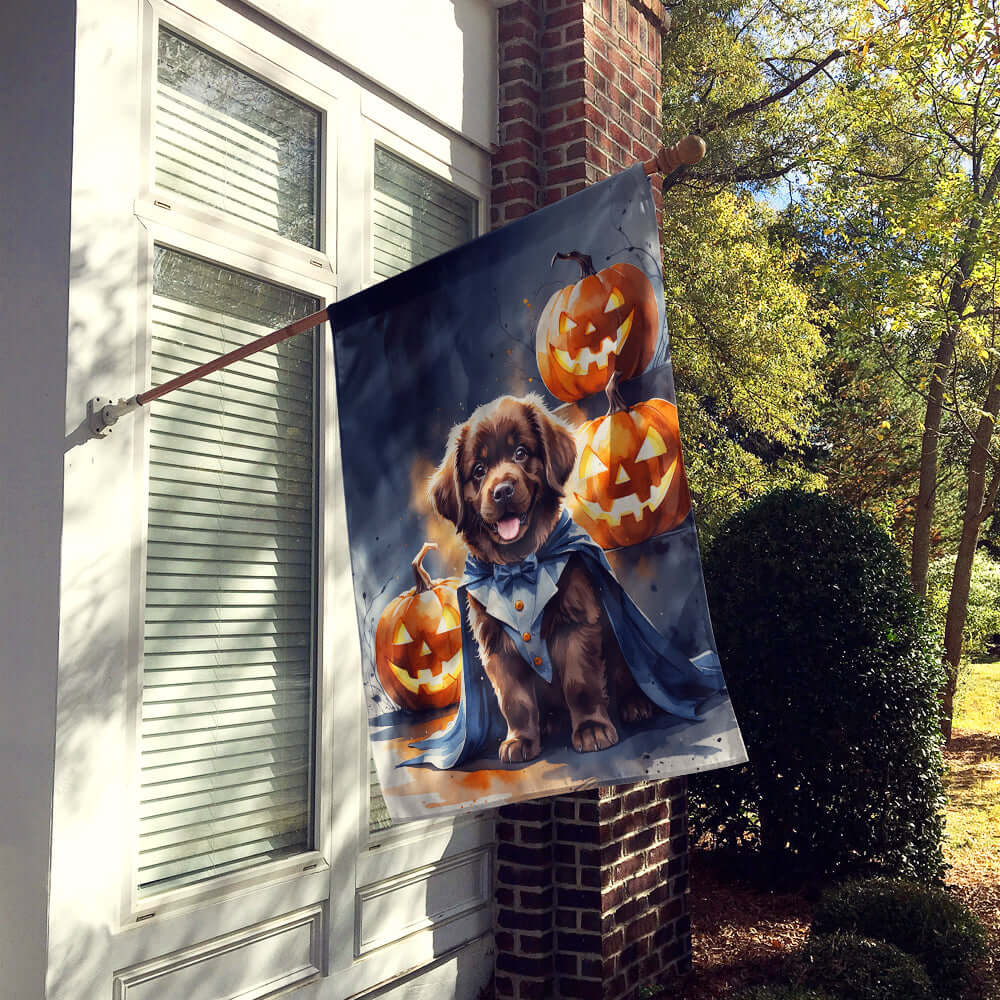 Chocolate Newfoundland Puppy Halloween House Flag 28x40 Porch Sleeve Pole Decorative Outside Yard Banner Artwork Wall Hanging, Polyester