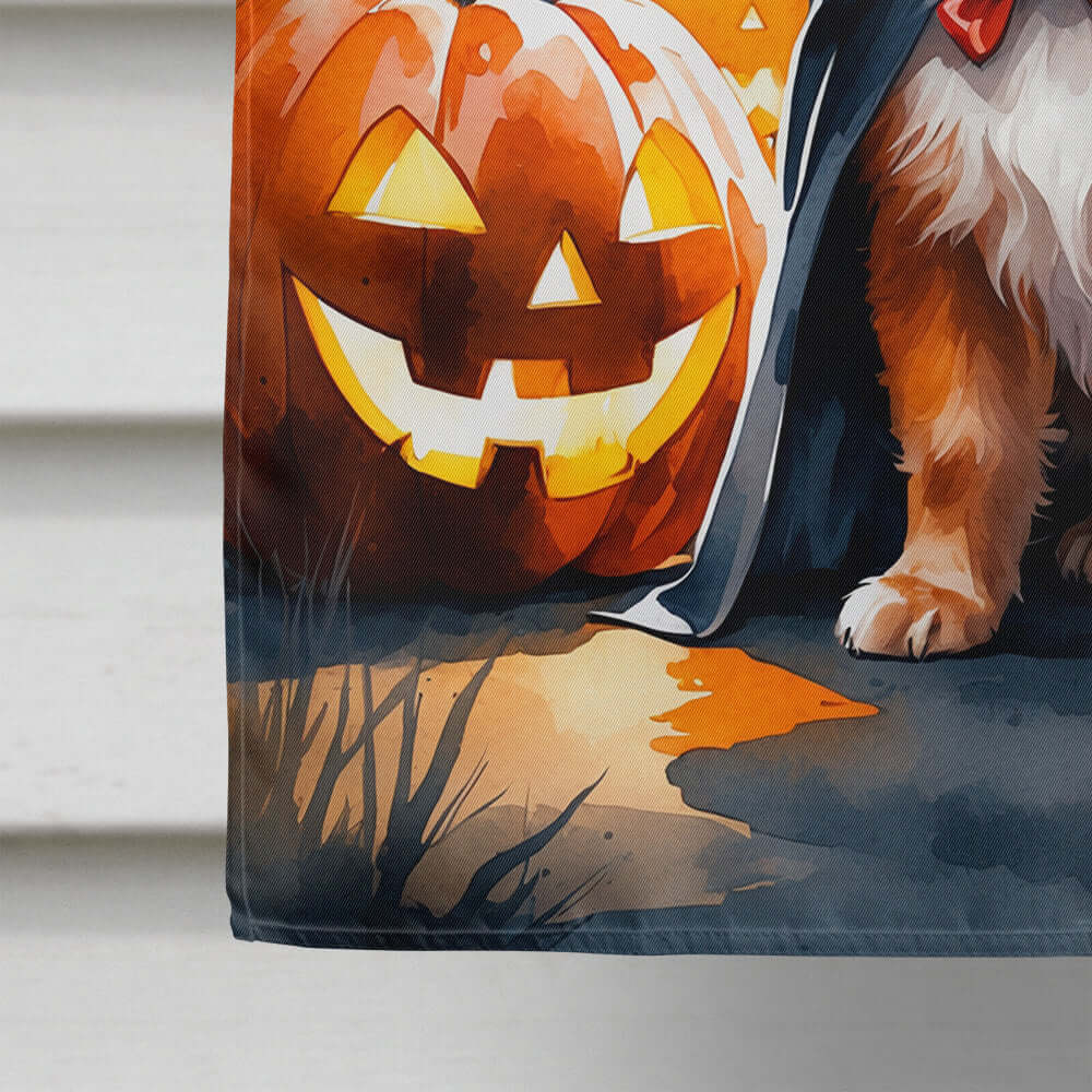 Pomeranian Puppy Halloween House Flag 28x40 Porch Sleeve Pole Decorative Outside Yard Banner Artwork Wall Hanging, Polyester
