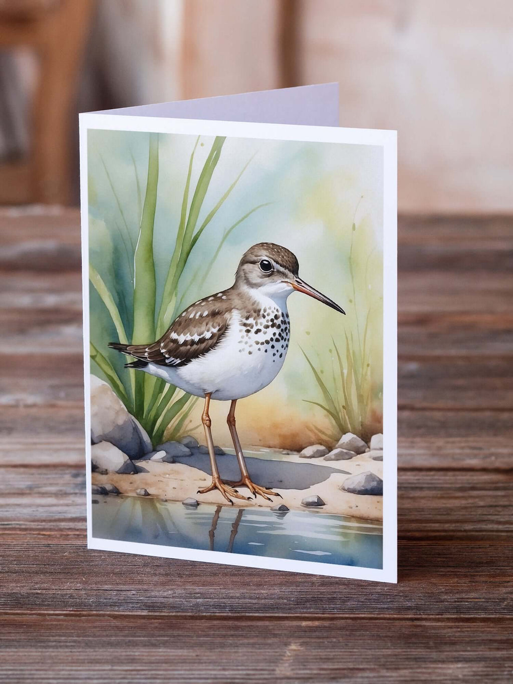 Spotted Sandpiper Bird Greeting Cards Pack of 8 Blank Cards with Envelopes Whimsical A7 Size 5x7