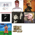 David Bowie - Earthling (2021 Remaster/2LP) & Heroes (2017 Remaster) & Low (2017 Remaster) & Station To Station (2016 Remastered Version) & Hunky Dory (2015 Remaster/50Th Anniv/Picture Disc) & Live Los Angeles 1974 (White LP Vinyl/Limited) & Ziggy