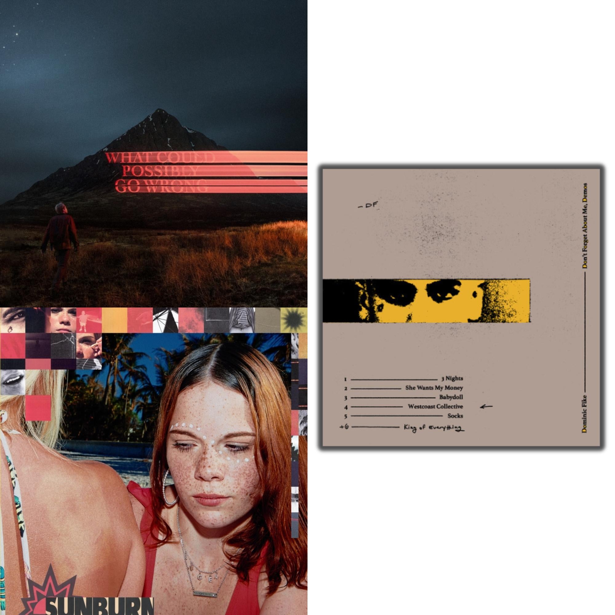Don't Forget About Me, Demos (150G) & What Could Possibly Go Wrong (X) (140G/Poster) & Sunburn (X) (150G)