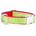 Lime Green/Red Holiday Velvet Essential Buckle Martingale Dog Collar