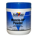 MUSCLE UP