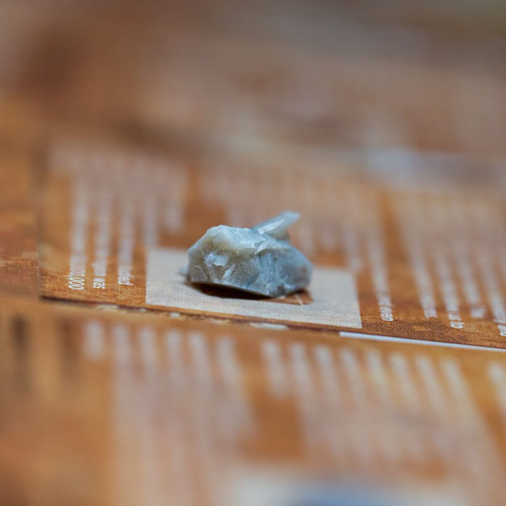Dinosaur Dung - Card Display - Authentic Fossil Poop
