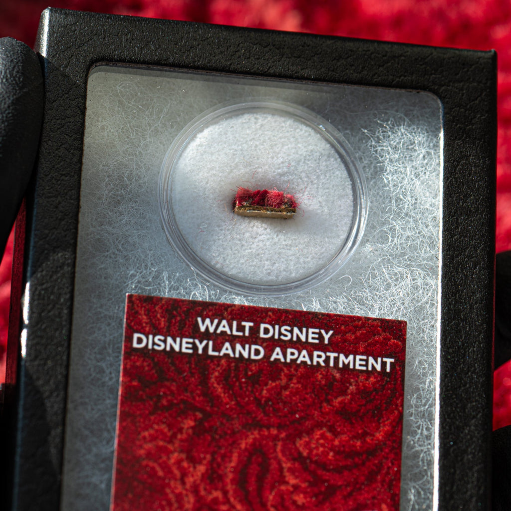 Walt Disney Disneyland Cranberry Room Carpet