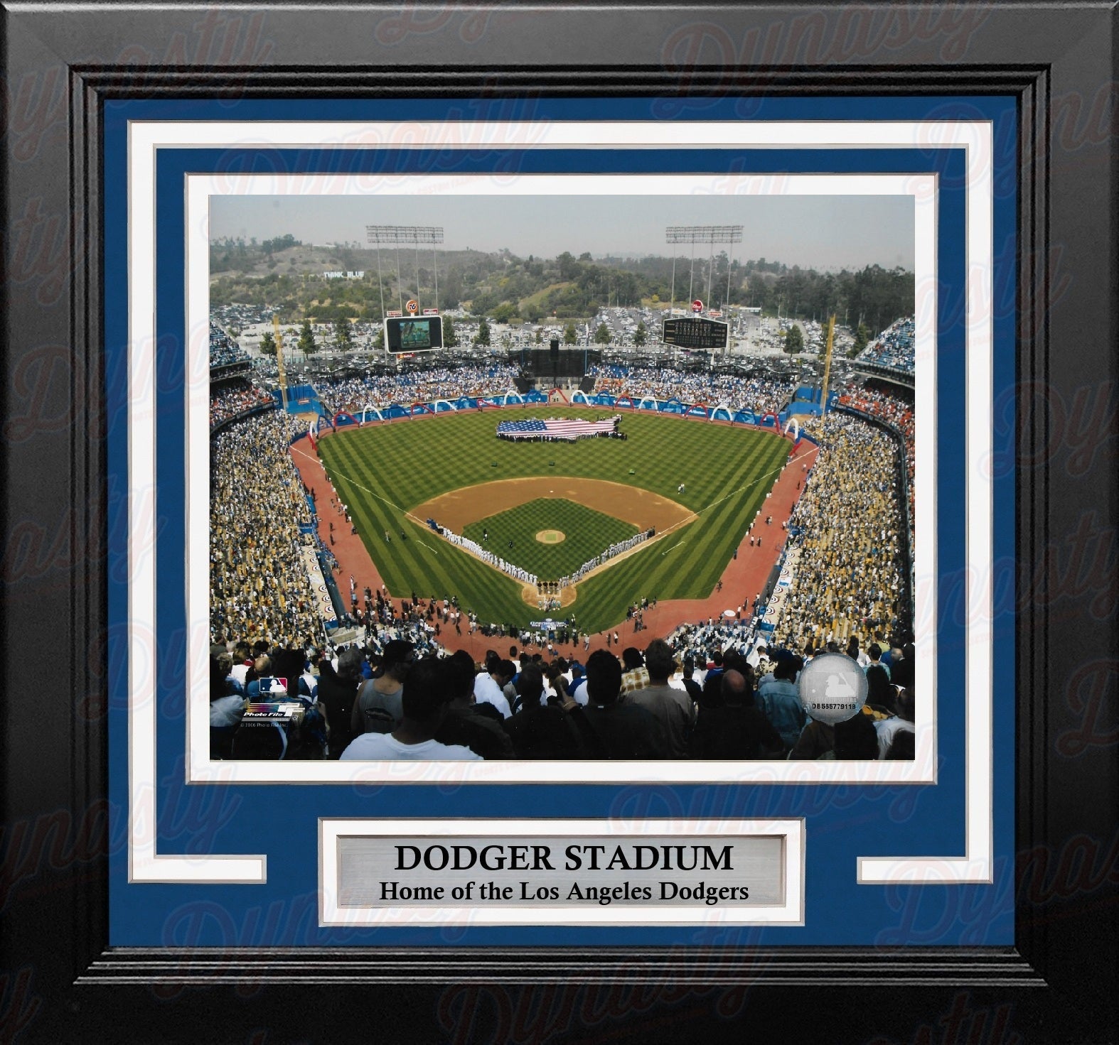 Los Angeles Dodgers Stadium 8" x 10" Framed Baseball Photo