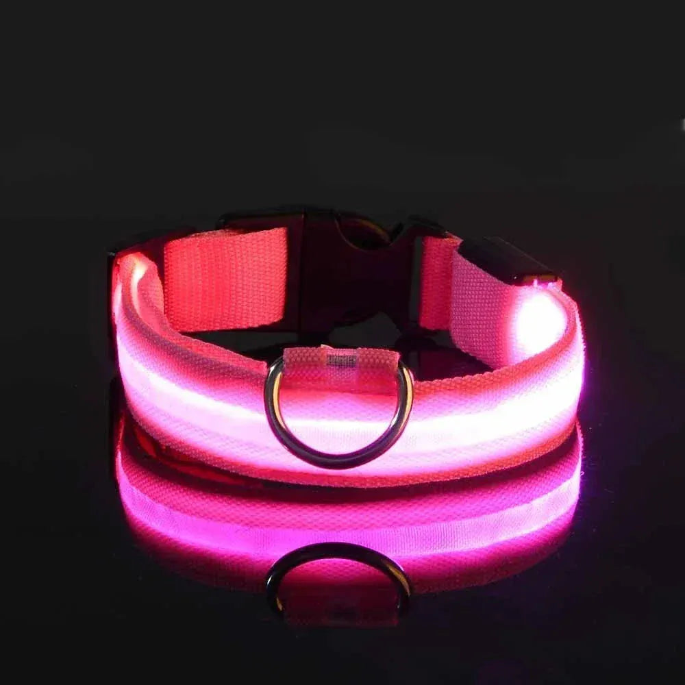 Dog LED Glow In The Dark collar.