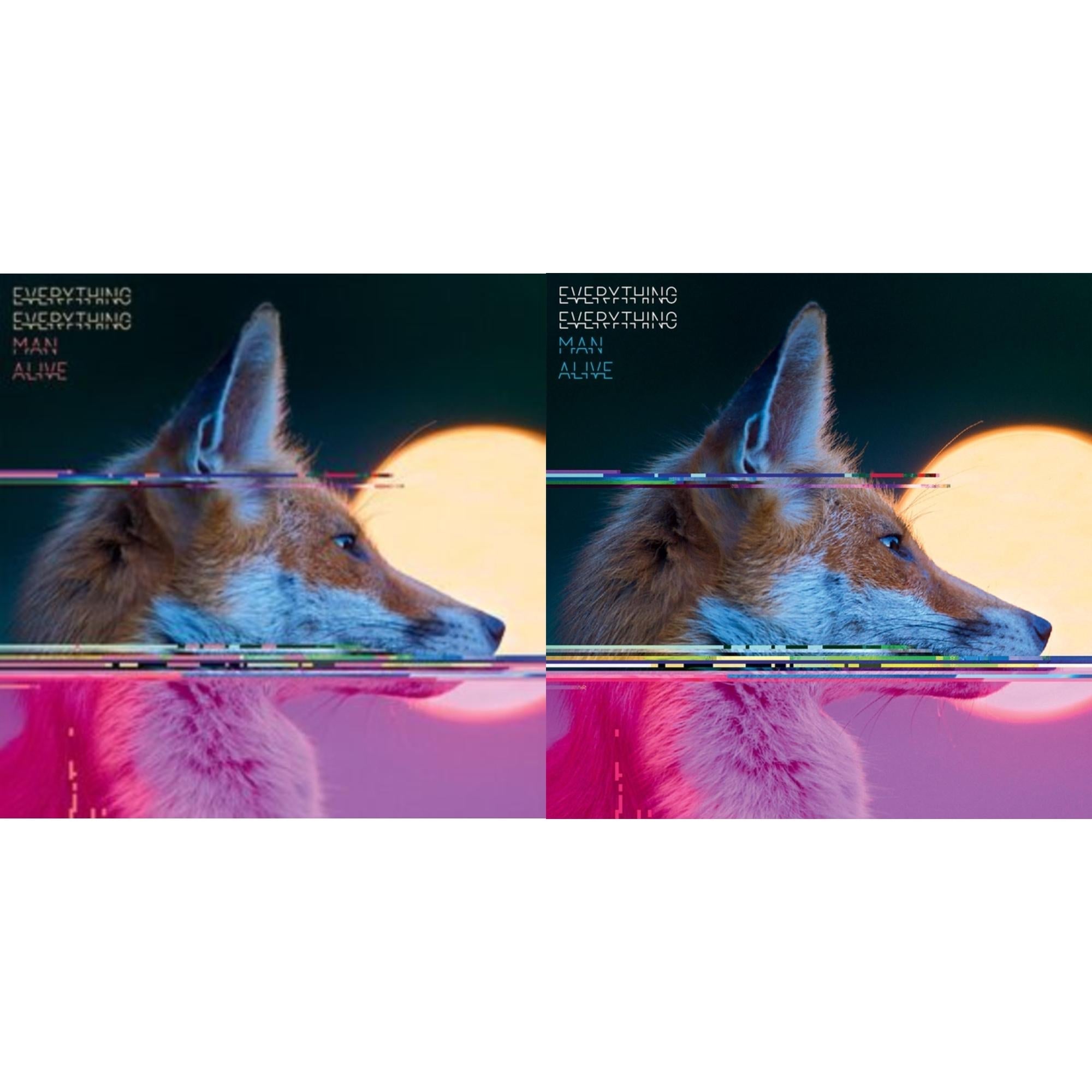 Everything Everything - Man Alive (Deluxe Edition) (2LP) & Man Alive