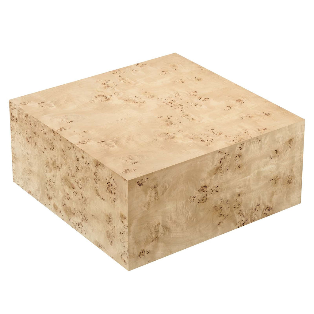 Cosmos 36" Square Burl Wood Coffee Table by Modway