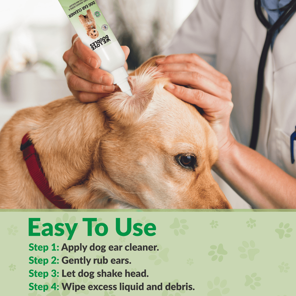 Dog Ear Wash