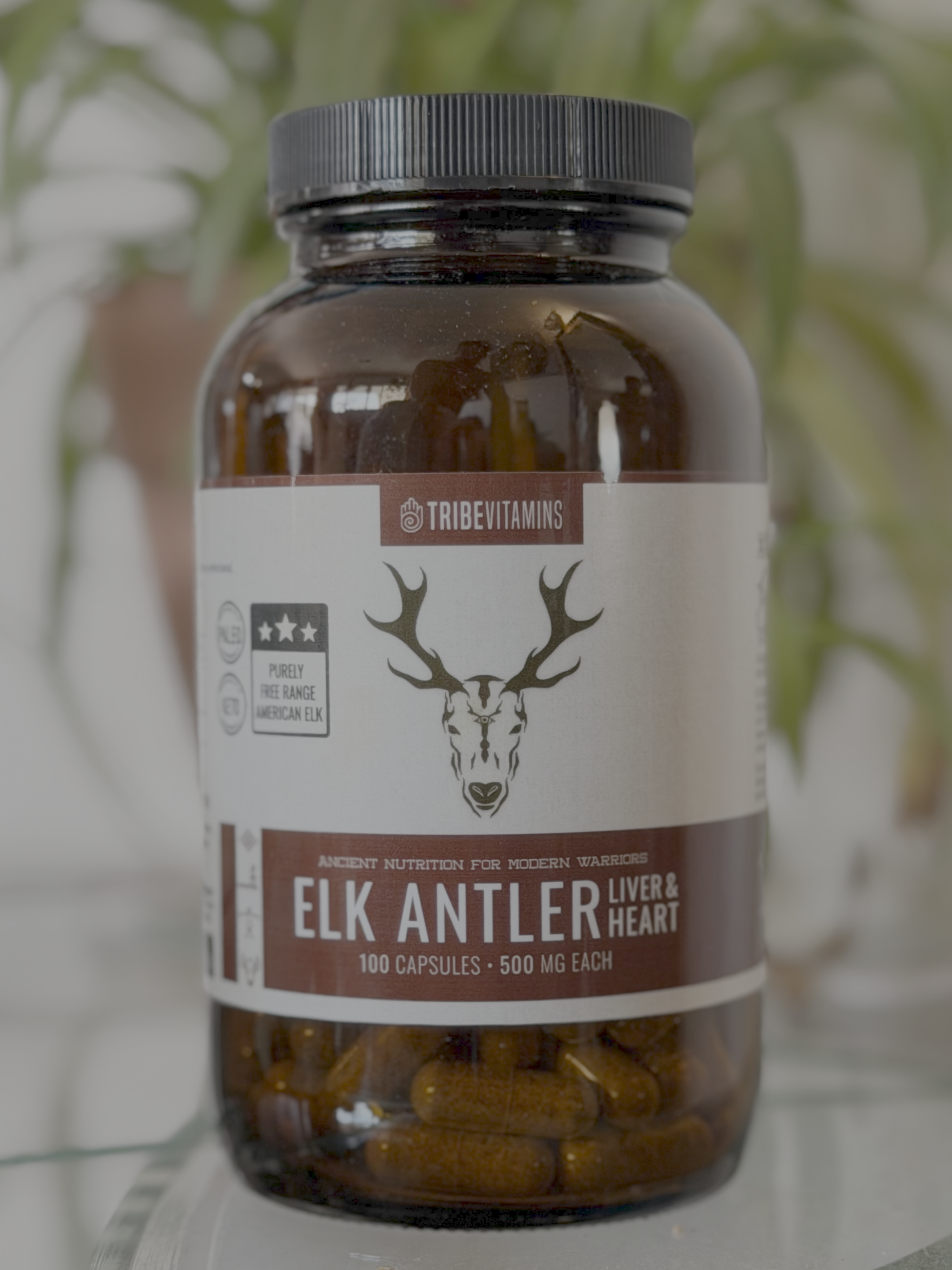 Elk Antler, Liver, & Heart