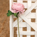 Peony Stem Pink (Pack of 4)