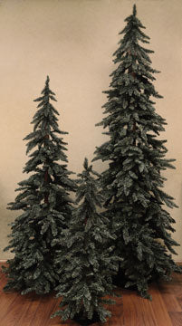 Downswept Alpine Tree 5 ft.