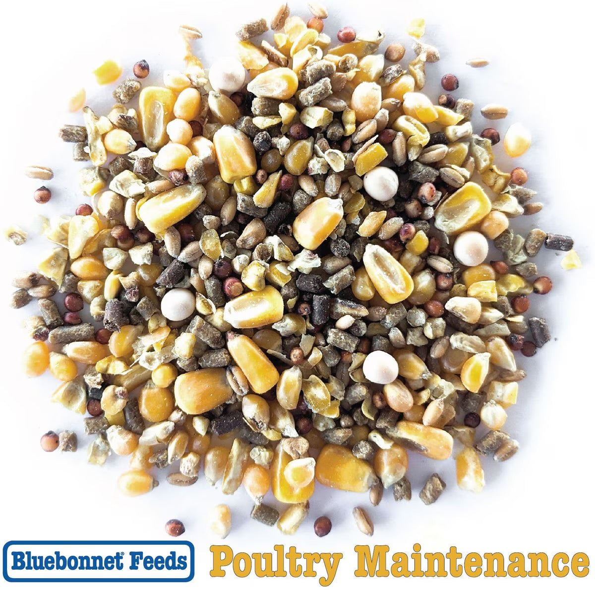 Bluebonnet Feeds Poultry Yellow Maintenance 14% Protein Premium Formula Grain Bird Food, 50-lb bag