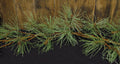 Icy Needle Pine Garland