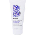 Curl Charisma Rice Amino + Quinoa Frizz Control Gel 5.5 Oz
