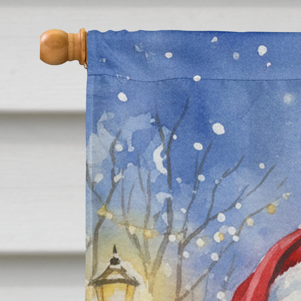 Bernedoodle with Santa Claus House Flag 28x40 Porch Sleeve Pole Decorative Outside Yard Banner Artwork Wall Hanging, Polyester