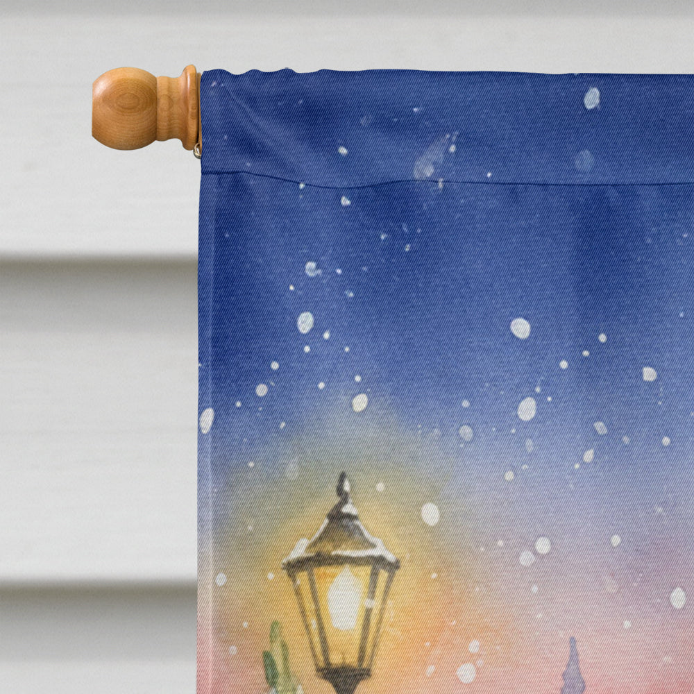 Burmilla Cat with Santa Claus House Flag 28x40 Porch Sleeve Pole Decorative Outside Yard Banner Artwork Wall Hanging, Polyester
