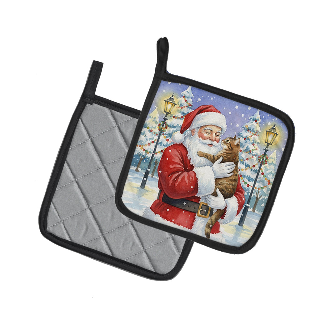Classic Tabby Brown Cat with Santa Claus Pot Holder Set of 2 Heat Resistant Quilted Hot Pads 7.5 x 7.5 Inch, Insulated Kitchen Trivets for Cooking & Baking