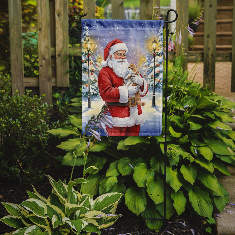 Exotic Shorthair Cat with Santa Claus Garden Flag Mailbox Decorative Yard Banner Outside Patio Artwork for Flower Beds, Garden Size, Multicolor