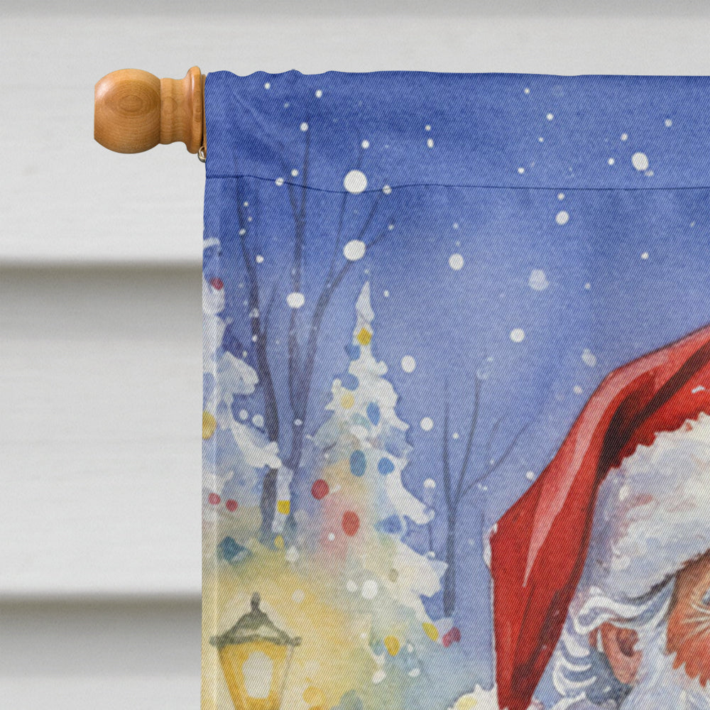 LaPerm Cat with Santa Claus House Flag 28x40 Porch Sleeve Pole Decorative Outside Yard Banner Artwork Wall Hanging, Polyester