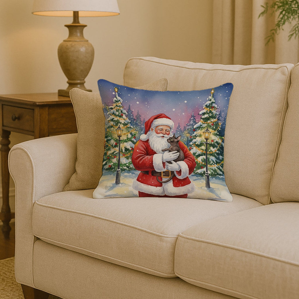 Lykoi Cat with Santa Claus Decorative Throw Pillow 14x14 Indoor Outdoor Accent Cushion, Fabric Cover with Insert for Sofa, Bed, Porch & Living Room