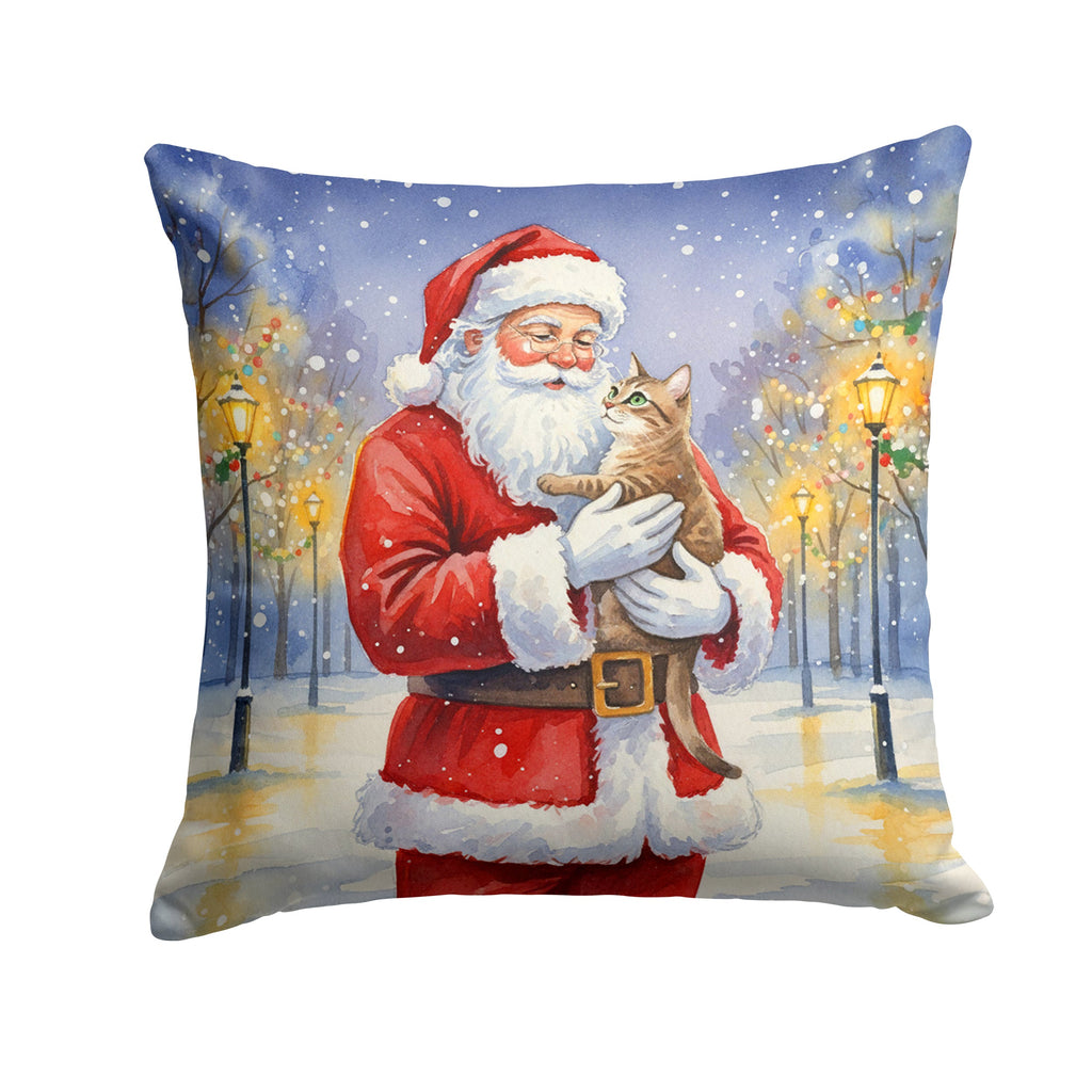 Malayan Cat with Santa Claus Decorative Throw Pillow 18x18 Indoor Outdoor Accent Cushion, Fabric Cover with Insert for Sofa, Bed, Porch & Living Room