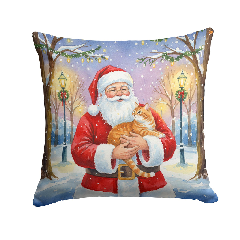 Orange Classic Tabby Cat with Santa Claus Decorative Throw Pillow 18x18 Indoor Outdoor Accent Cushion, Fabric Cover with Insert for Sofa, Bed, Porch & Living Room