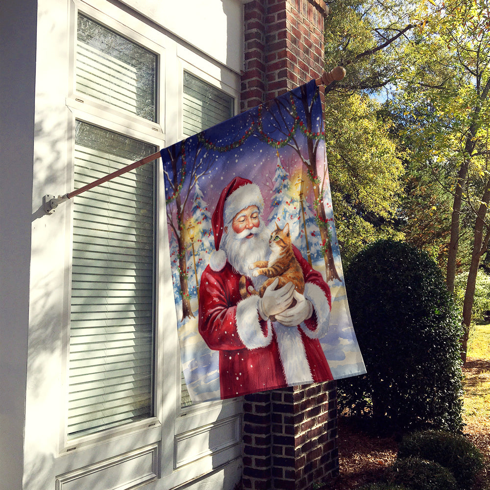 Patched Tabby Cat with Santa Claus House Flag 28x40 Porch Sleeve Pole Decorative Outside Yard Banner Artwork Wall Hanging, Polyester