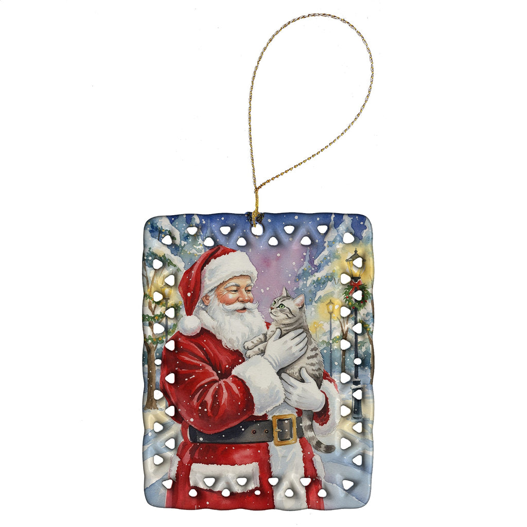 Silver Classic Tabby Cat with Santa Claus Porcelain Ornament Christmas Tree Hanging Decorations for Home Christmas Holiday, Rectangle, Gift, Multicolor