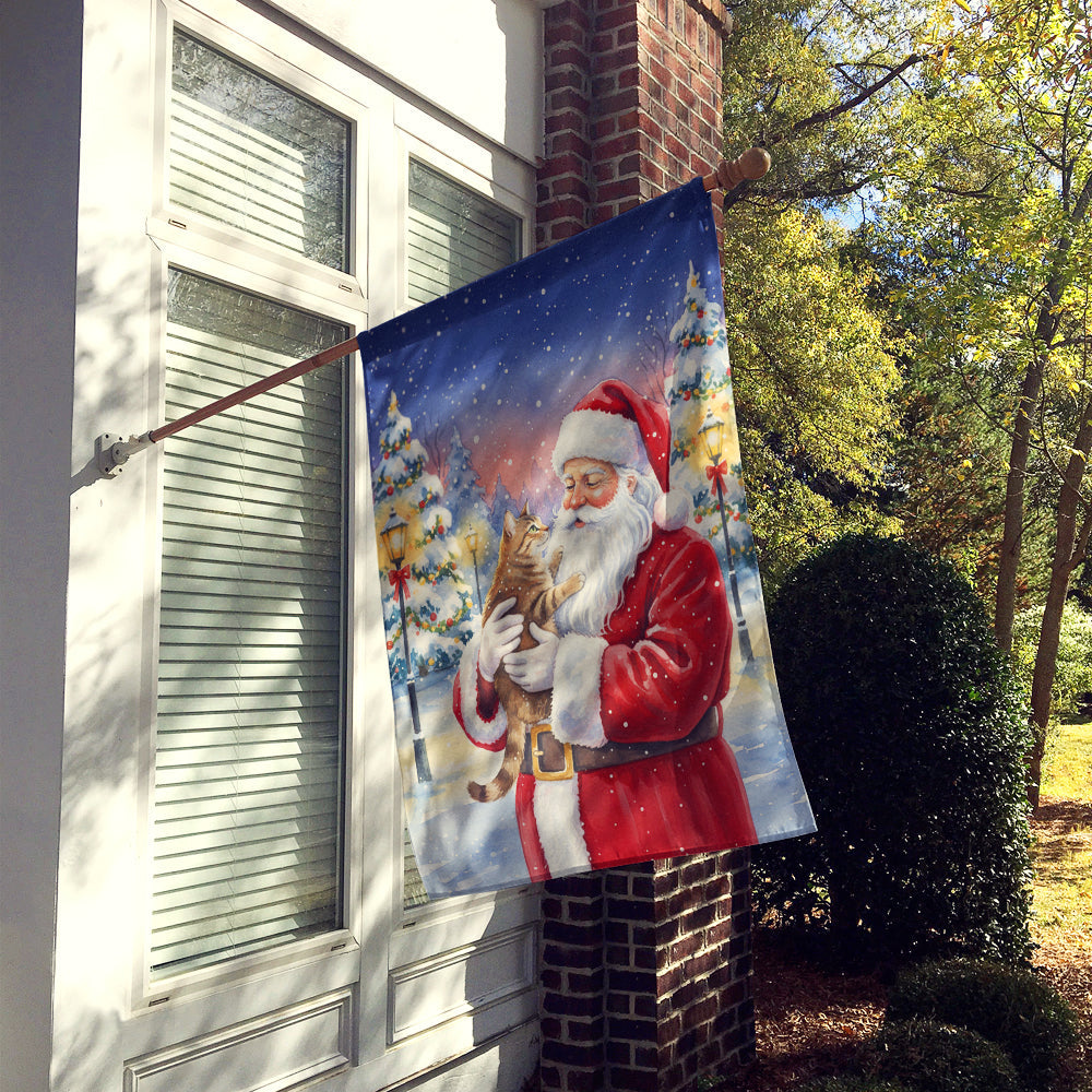 Ticked Tabby Brown Cat with Santa Claus House Flag 28x40 Porch Sleeve Pole Decorative Outside Yard Banner Artwork Wall Hanging, Polyester