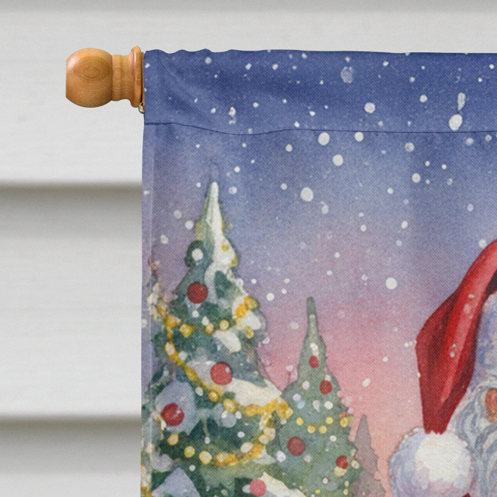 Blue Headed Pionus Parrot with Santa Claus House Flag 28x40 Porch Sleeve Pole Decorative Outside Yard Banner Artwork Wall Hanging, Polyester