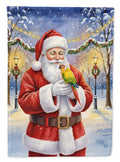 Green Cheeked Conure Parrot with Santa Claus Garden Flag Mailbox Decorative Yard Banner Outside Patio Artwork for Flower Beds, Garden Size, Multicolor