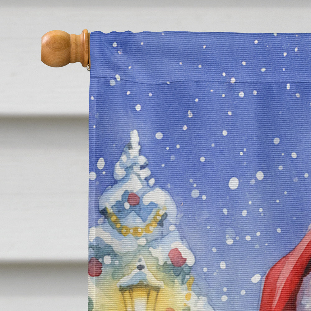 Indian Parakeet with Santa Claus House Flag 28x40 Porch Sleeve Pole Decorative Outside Yard Banner Artwork Wall Hanging, Polyester