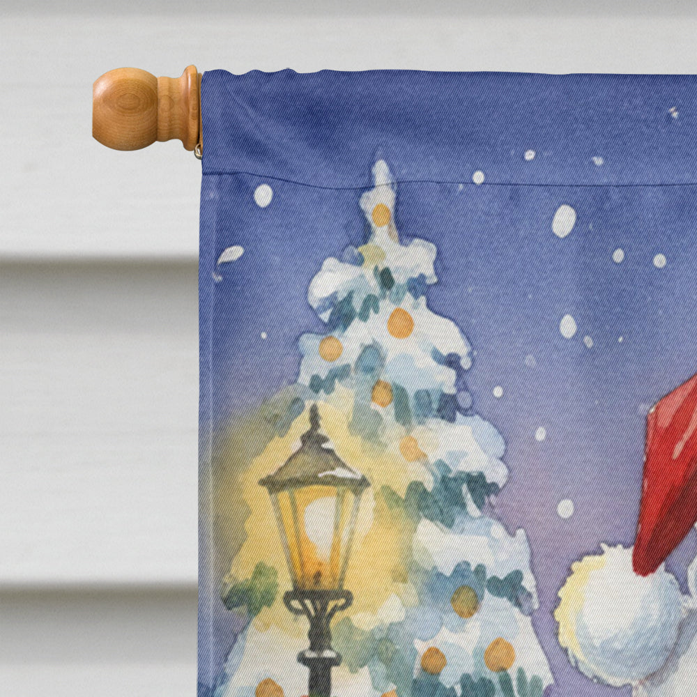 Red Bellied Parrot with Santa Claus House Flag 28x40 Porch Sleeve Pole Decorative Outside Yard Banner Artwork Wall Hanging, Polyester