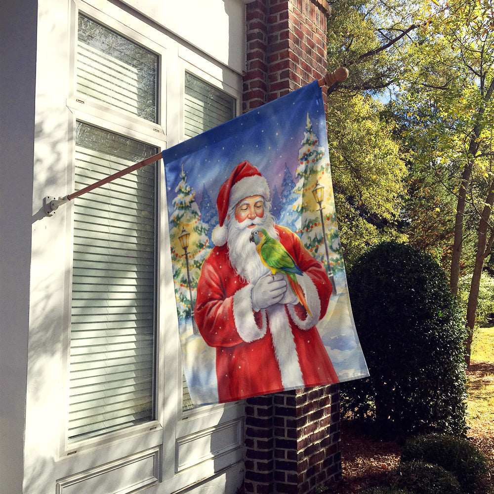Senegal Parrot with Santa Claus House Flag 28x40 Porch Sleeve Pole Decorative Outside Yard Banner Artwork Wall Hanging, Polyester
