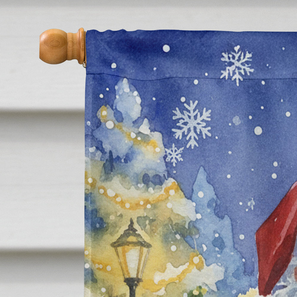Woodpecker with Santa Claus House Flag 28x40 Porch Sleeve Pole Decorative Outside Yard Banner Artwork Wall Hanging, Polyester