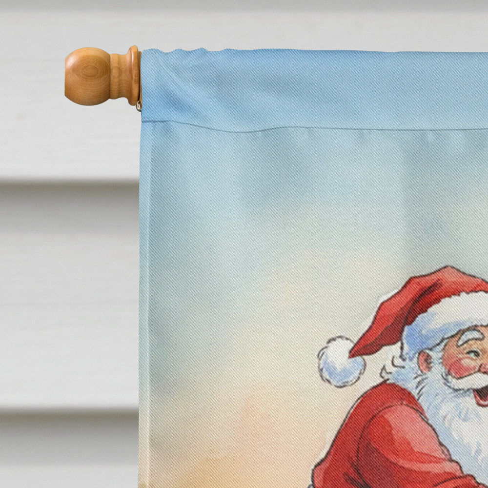 Cajun Santa Claus Feeding the Gators Christmas House Flag 28x40 Porch Sleeve Pole Decorative Outside Yard Banner Artwork Wall Hanging, Polyester
