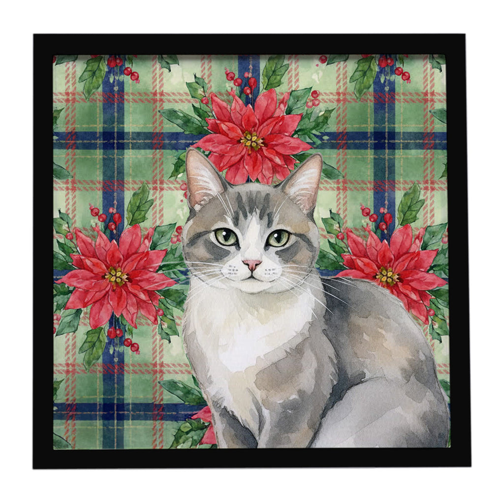Gray and White Cat with Poinsettias Framed Metal Print Bathroom, Kitchen, Office, Home Decor Wall Art Ready to Hang, Square, 8X8