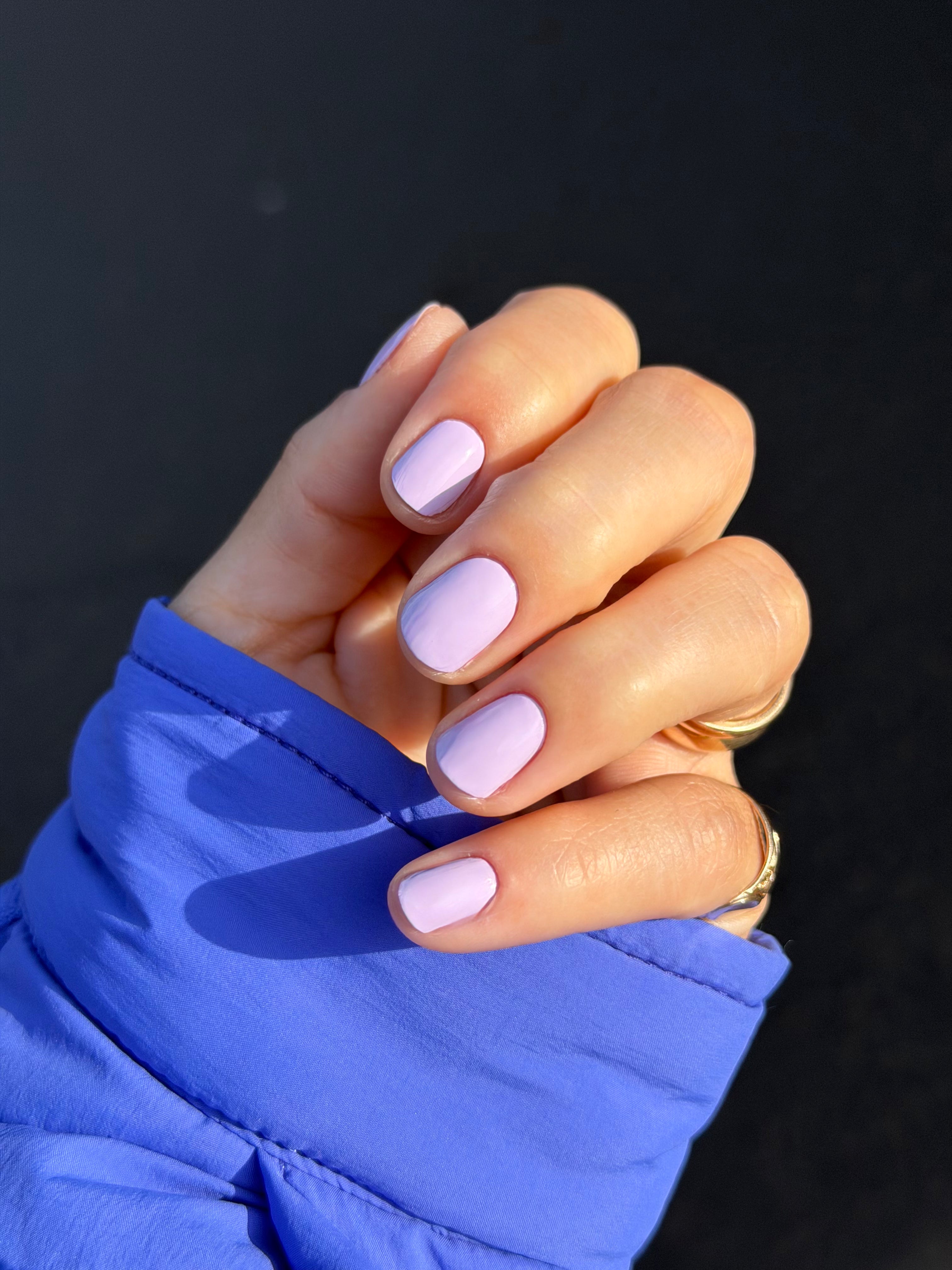 Fall In Lavender