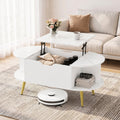 Lift Top Coffee Table with Hidden Compartment and Shelves