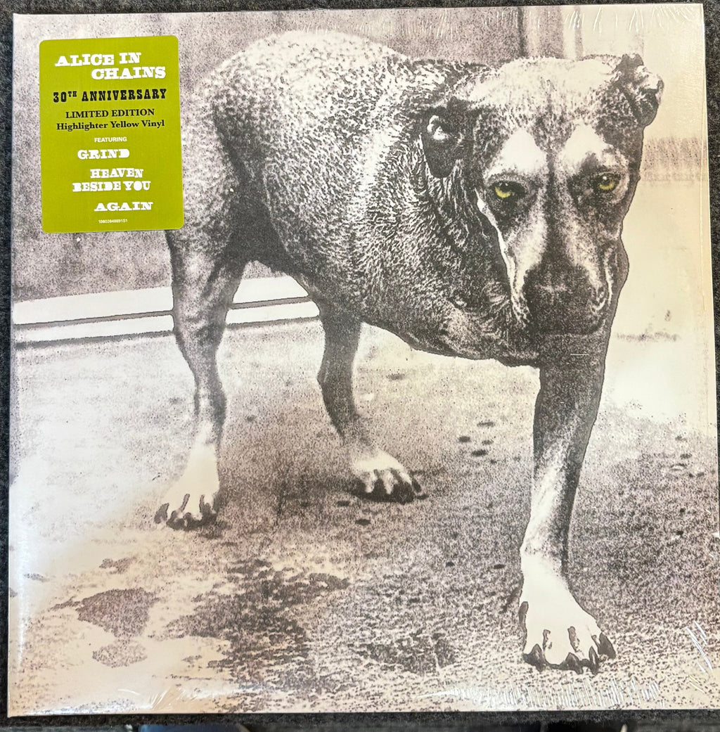 ALICE IN CHAINS - ALICE IN CHAINS 2x Vinyl LP