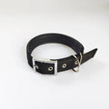 DOG COLLAR,  NYLON - SMALL SIZE