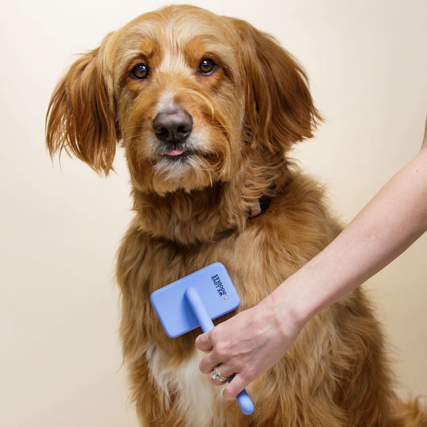 Slicker Brush for Dogs