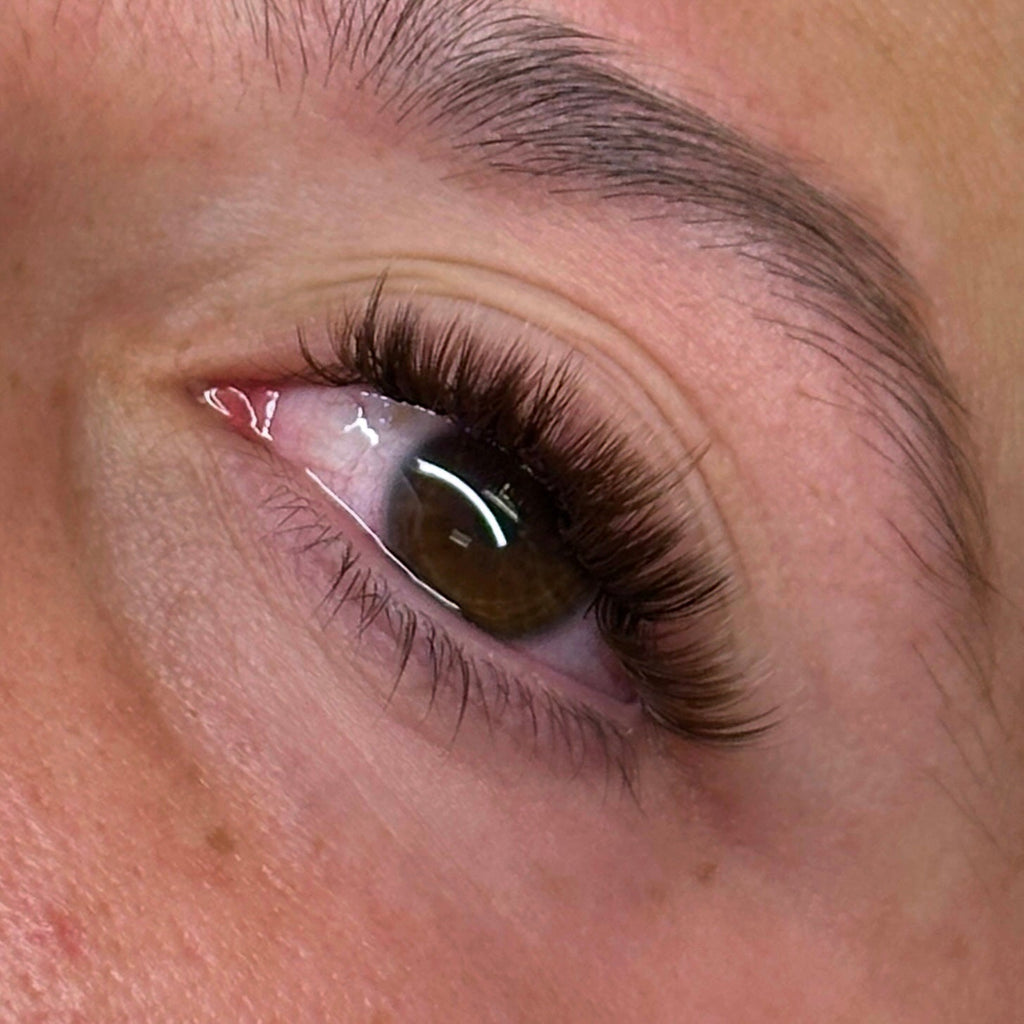 Cinnamon Volume Lashes