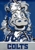 Indianapolis Colts Garden Flag 2 Sided Justin Patten Blue