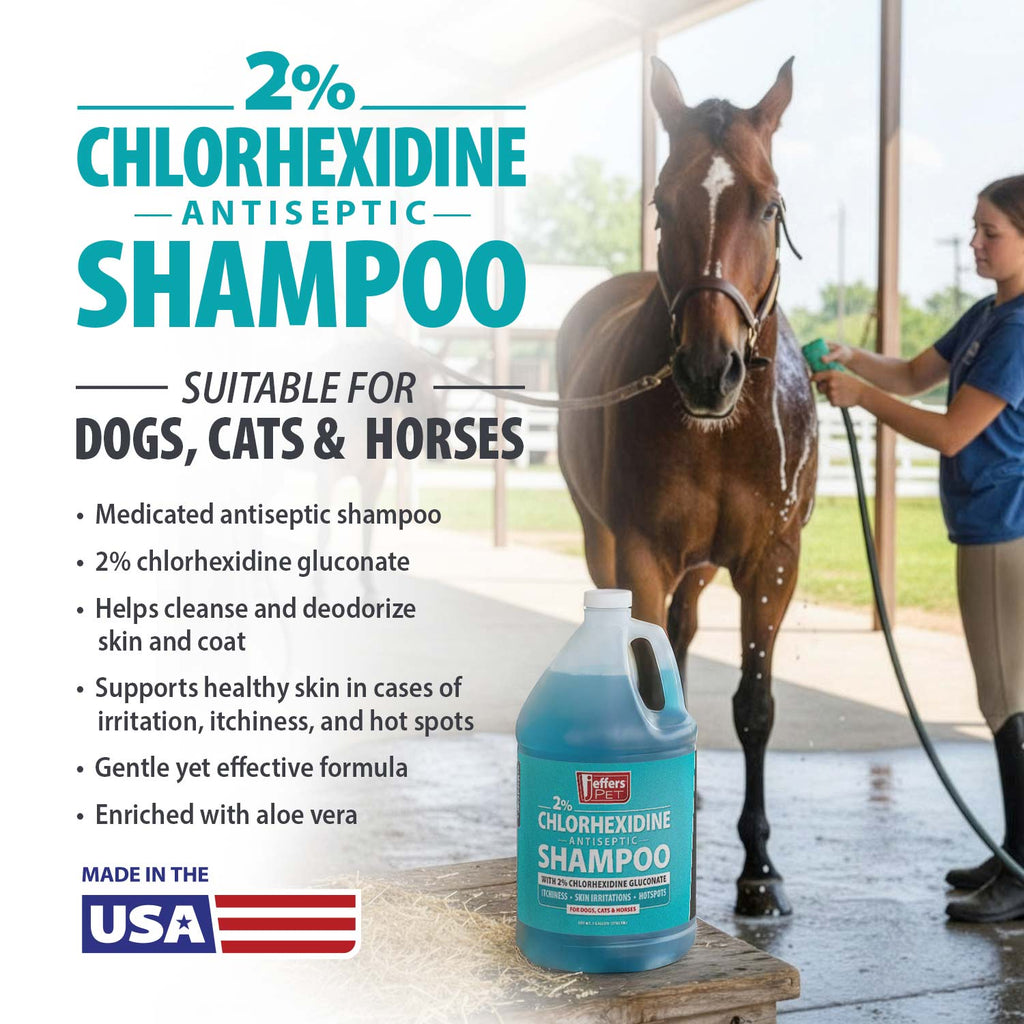 Jeffers Medicated 2% Chlorhexidine Shampoo for Dogs, Cats & Horses