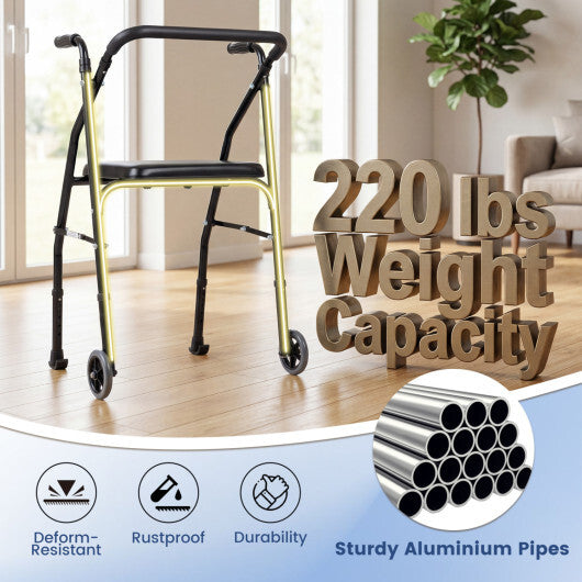 Lightweight Aluminum Mobility Walker for Seniors with 2 Wheels 5-Level Adjustable Height and Padded Seat-Black